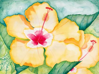 Yellow Hibiscus, 2006