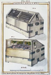 Wooden boxes to transport rare plants on ships by Delahaye, from Florindie ou Historie physico-economique des Vegetaux de la Torride