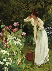 In the Fullness of Summer