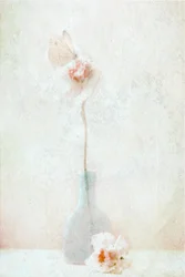 Delicate Butterfly Bloom