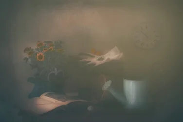 Dreamy Autumn Reading