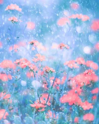 Dreamy Pink Blooms