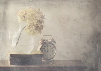 Dried Flowers and Old Clock
