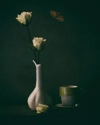 Elegant Roses and Butterfly