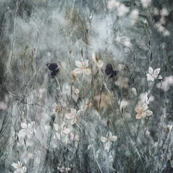 Ethereal Butterfly Garden