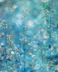 Ethereal Teal Flowers