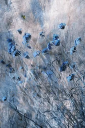 Faded Blue Blooms