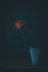 Glowing Red Bloom