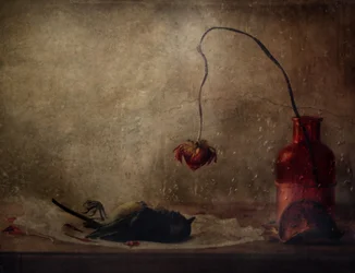 Melancholy Still Life
