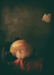 Moody Fruit and Butterfly
