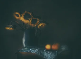 Moody Sunflowers and Apples