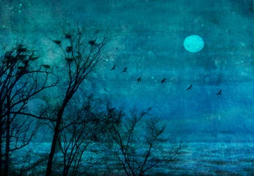 Moonlit Winter Roost