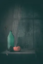 Rainy Autumn Still Life