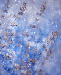 Sparkling Winter Blue