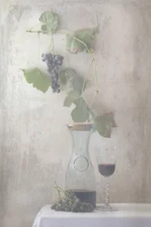 Vintage Grapes Wine Still Life