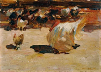 Chicken Yard