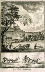 Field Work - Agriculture, Sowing, Ploughing. Various Model Rolls and Ploughs: Plate of a Volume of Illustrations from the Encyclopedie of Diderot, Original Edition 1762