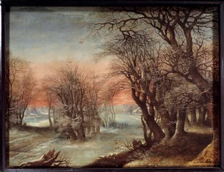 Winter Landscape