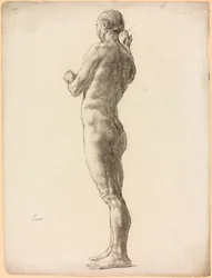 A Study of a Male Figure