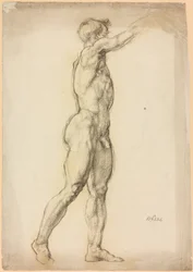 A Study of a Male Figure