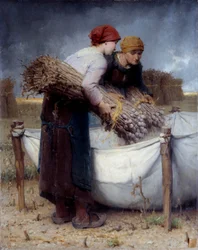 Poppy Pickers