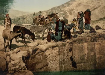 Bedouins Drawing Water, Holy Land