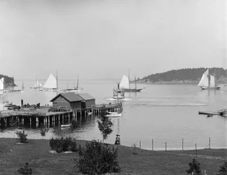 Bar Harbor, Mt. Desert Island, Maine, the harbour from Newport House, c.1901