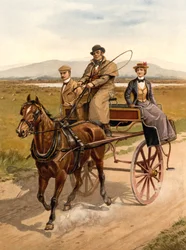 Irish Jaunting Car