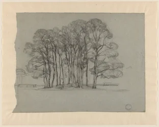 Group of Trees on a Low Hill