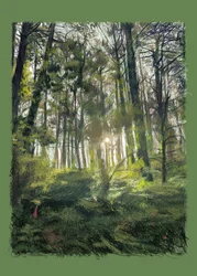 Branches and Trees in Backlight, 2022