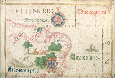 Mouth of the Amazon, Brazil (detail)