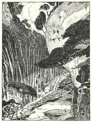 The Dim Forest