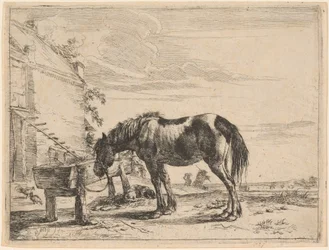 A Horse Bound to a Feeding Trough