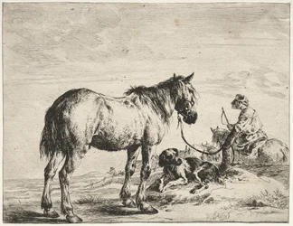 Horse Bound to a Post