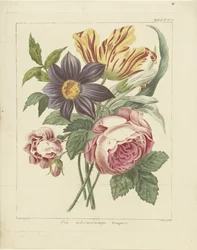 Bouquet of Flowers with Peony and Tulip