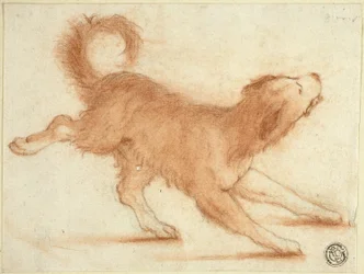 Growling Dog Ready to Pounce