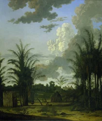 Plantation in Suriname
