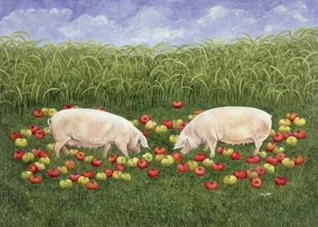 Apple-sows