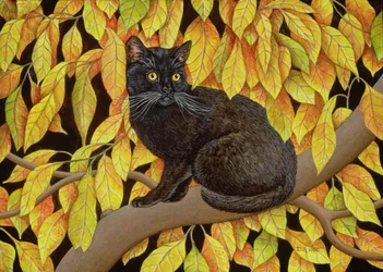 Autumn Leaves