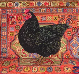 Black Carpet Chicken, 1995
