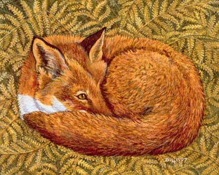 Cat-napping