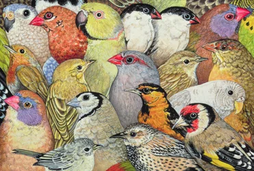 Patchwork-Birds