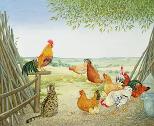 The Fowl and the Pussycat