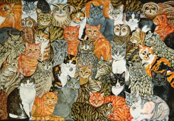 The Owls and the Pussycats