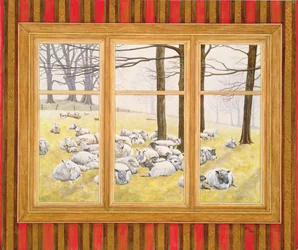 The Sheep Window