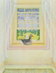 Window Geese