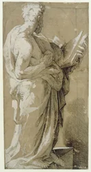 Apostle