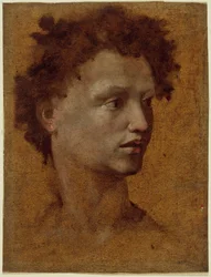 Head of a Youth