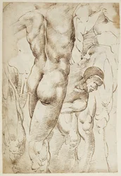 Studies of Legs and Male Nudes