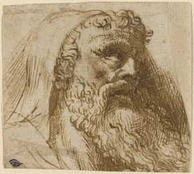 Head of a Man